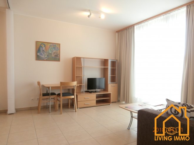 Bright and furnished studio in Luxembourg Gare